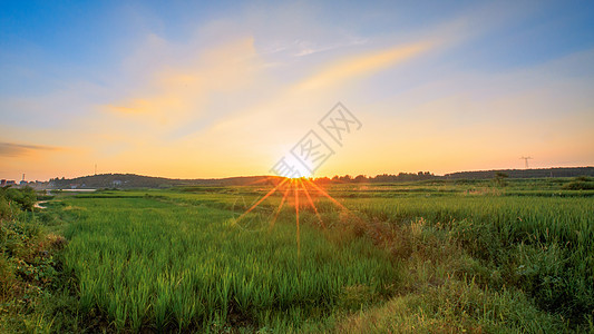 日出和田野背景图片