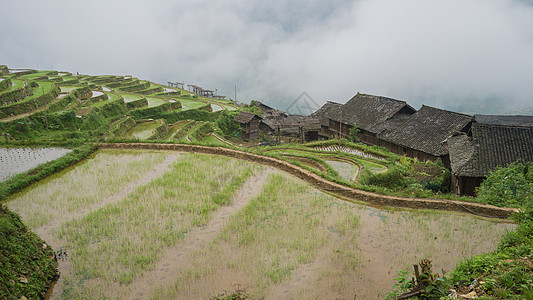 贵州加傍梯田背景图片