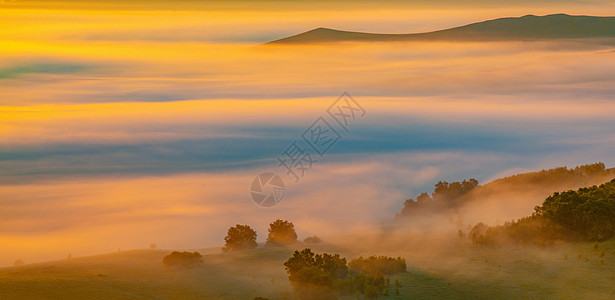草原朝阳清晨的云雾背景