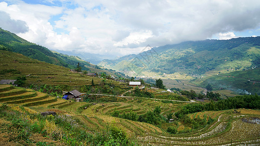 越南沙坝山地梯田图片