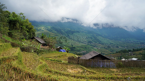 越南沙坝山地茅屋梯田图片