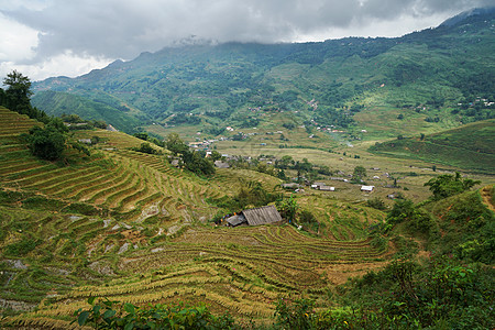 越南沙坝山地梯田高清图片