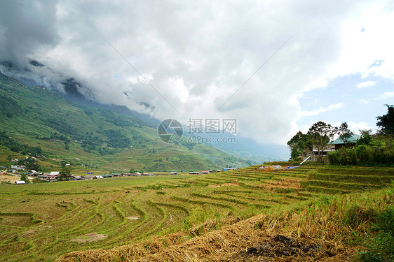 越南沙坝山地梯田图片