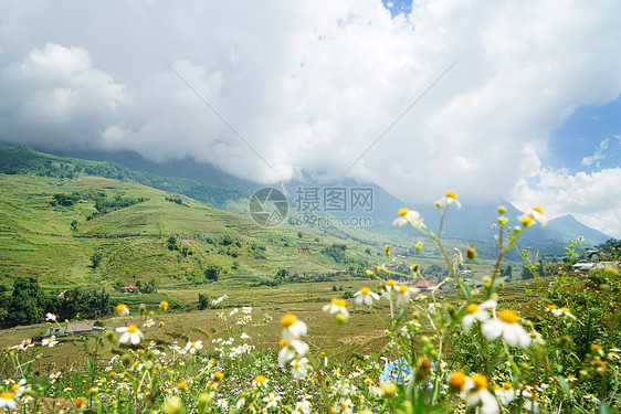 越南沙坝山地梯田图片