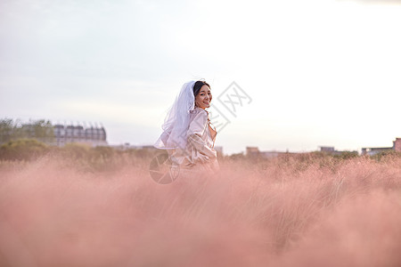 花海婚纱粉黛子花海写真背景