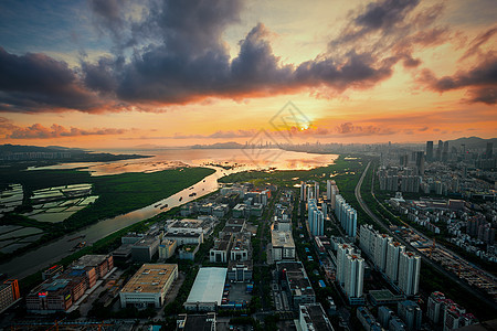 深圳湾之巅背景图片