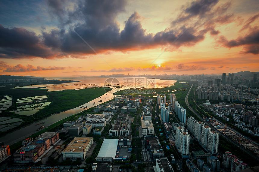 深圳湾之巅图片