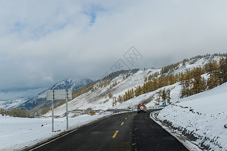 层林尽染新疆雪山下的公路背景