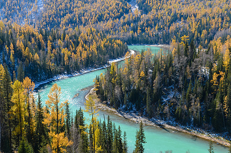 层林尽染新疆喀纳斯背景