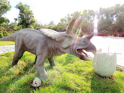 犀牛模型素材恐龙模型背景
