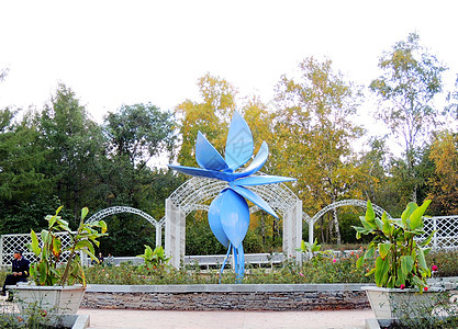 黑龙江植物园一角背景图片