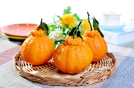 丑柑橘子新鲜水果背景图片