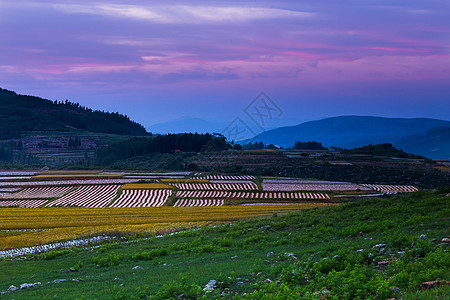 山坡坪上图片