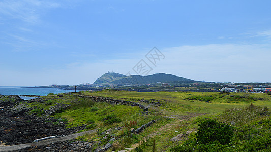 韩国济州岛牛岛田园风光图片