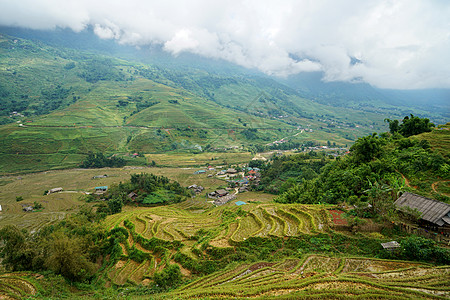 越南沙坝Sapa山地梯田图片