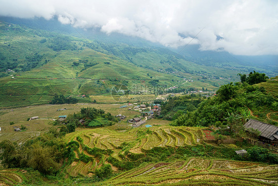 越南沙坝Sapa山地梯田图片