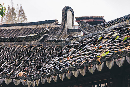 古镇建筑风景背景图片