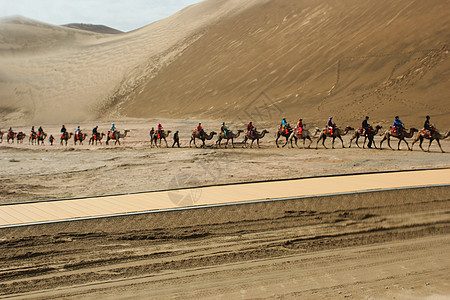 沙漠里的骆驼队图片