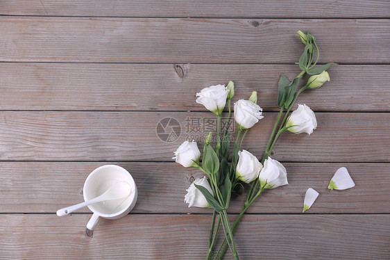 白色桔梗花 鲜花图片