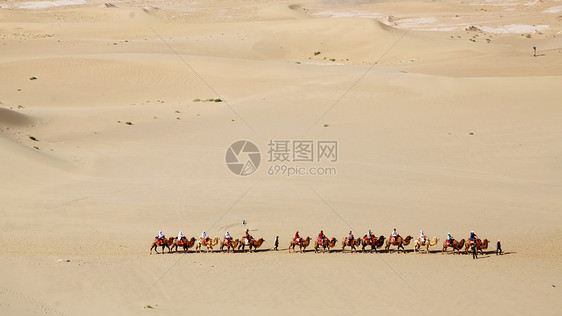 敦煌鸣沙山驼队行走沙漠中图片