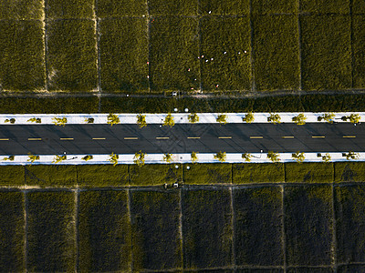 航拍道路图片