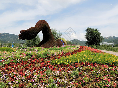 青岛世博园花雕塑背景图片