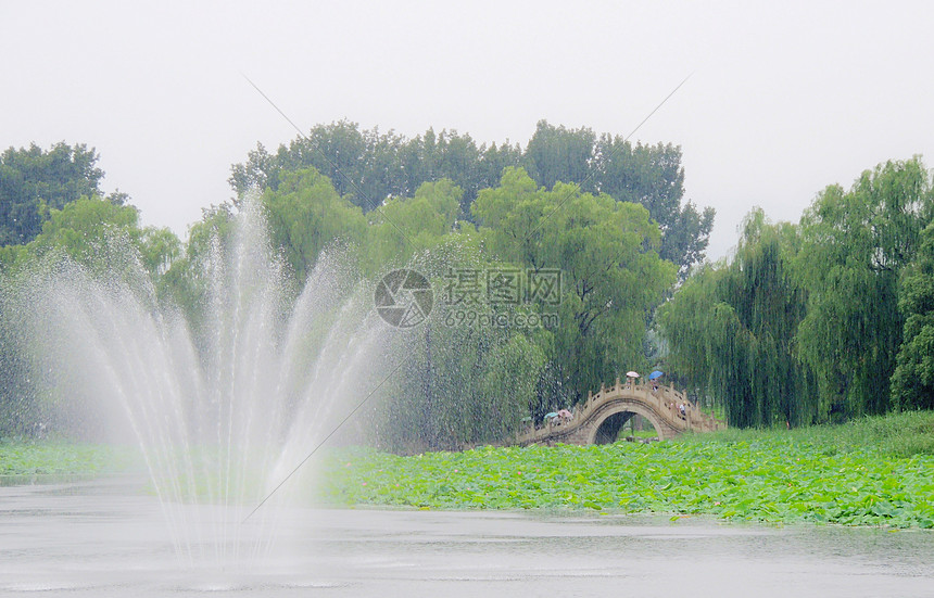 北京圆明园湖面景色图片