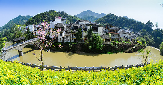 婺源油菜春天油菜花开油菜花田背景