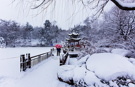 冬天浪漫的雪景高清图片