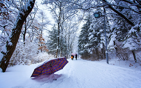 冬天雪景洁白的世界高清图片