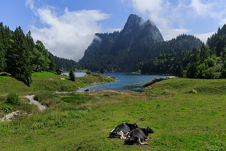 湖光岩瑞士旅游 欧洲瑞士湖光山色背景