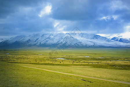 青藏线雪山草原背景