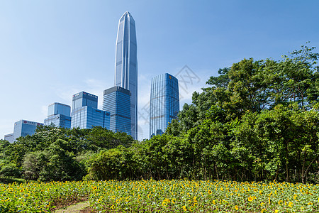 迈向卓越城市建筑与绿化背景