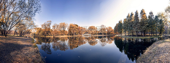 上海共青森林公园秋色全景图图片