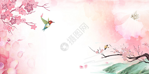 中国风花鸟图片