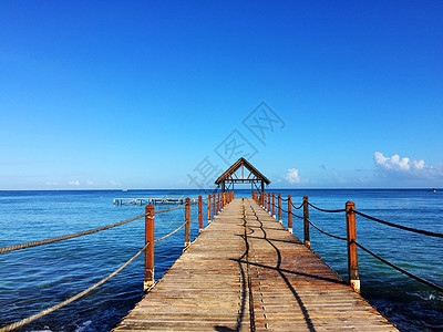 毛里求斯碧蓝海水上的木头栈桥图片