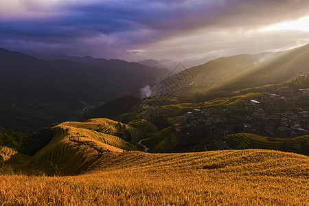 龙脊山金色的龙脊梯田背景