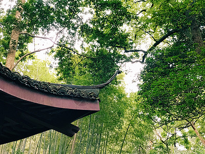竹林中的亭子背景图片