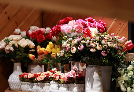 室内装饰盆栽花朵背景图片