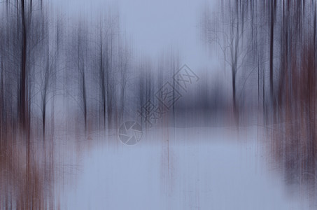 冬树背景图片