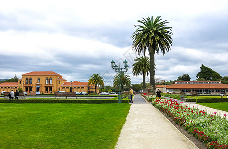新西兰花园新西兰罗托鲁阿政府花园背景