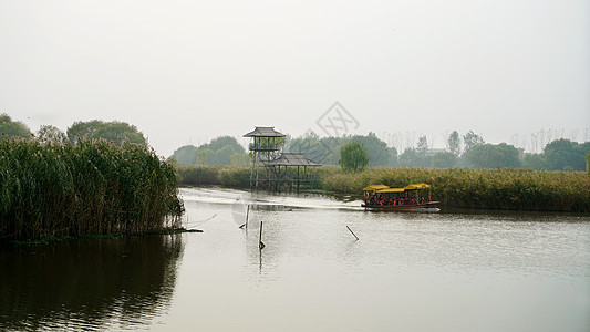 盐城大纵湖风景区湿地图片