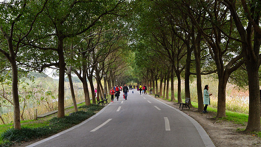 常熟沙家浜风景区道路背景图片