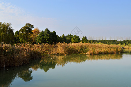 常熟沙家浜风景区图片