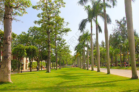 厦门大学旅游图片