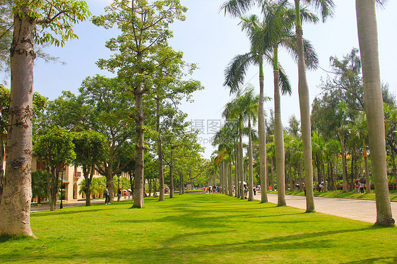 厦门大学旅游图片