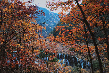 高山瀑布川西金秋彩林背景