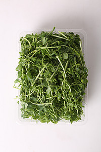 豆苗图片 豆苗图片大全 豆苗背景图片