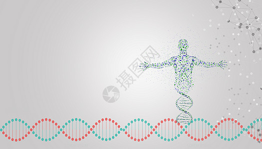 人体轮廓DNA基因分子设计图片