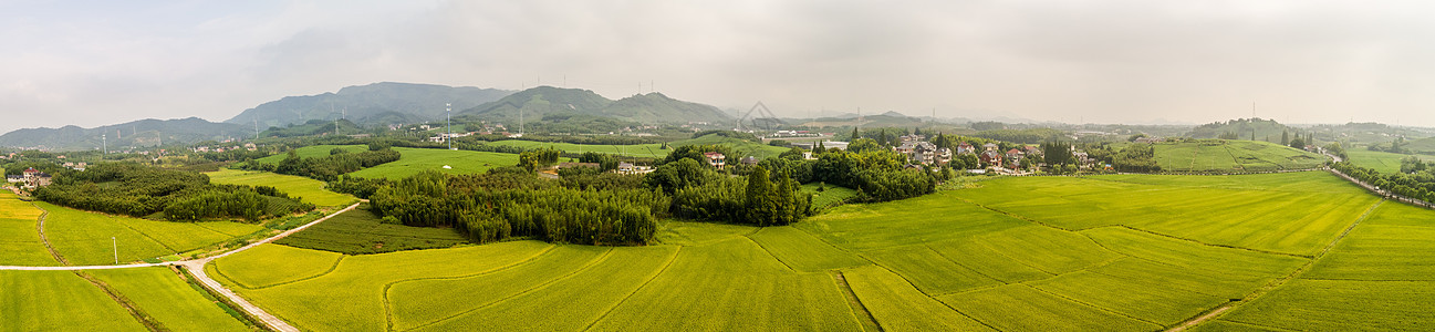 航拍田野图片